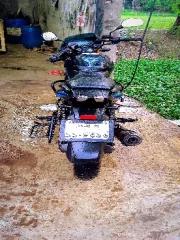 Bajaj Pulsar 150 Double Disc